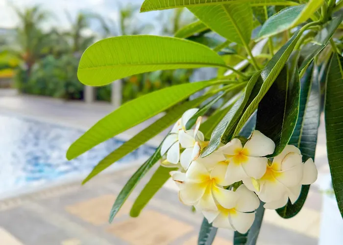Apartahotel Elegant Style 1br Sunset View 10th Floor Sonora Garden Residences